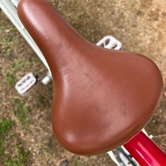 女の子自転車
の画像