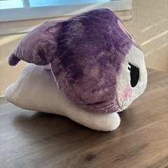 ビッグサイズ①クロミの画像