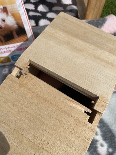 ハリネズミ、ハムスター、爬虫類、ケージ、ゲージ