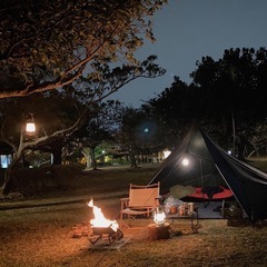 ddタープの画像