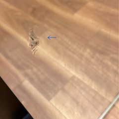 【REFEX】訳ありフィルムミラー  80×150cm 姿見 リフェクスミラー 軽量 の画像