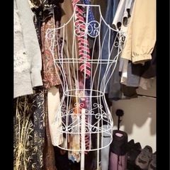 トルソーの画像