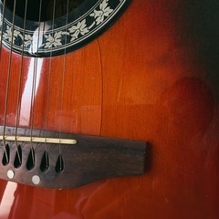 エレアコ ギター、Reed Manの画像