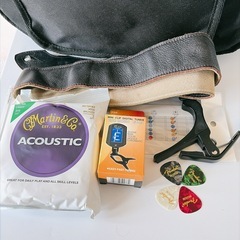 エレアコ ギター、Reed Manの画像