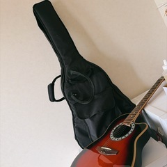 エレアコ ギター、Reed Manの画像