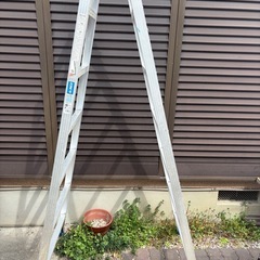 アルミハシゴの画像