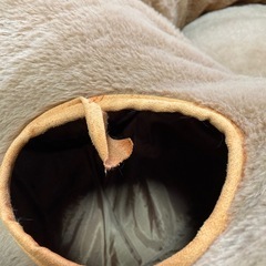 猫トンネルの画像