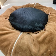 猫トンネルの画像