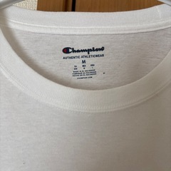 チャンピオンのロングTシャツの画像