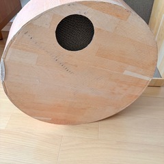 猫ちゃん　爪とぎの画像