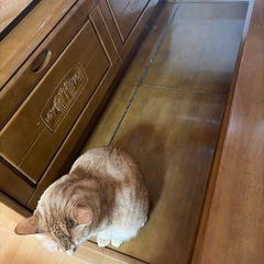 ダイニングテーブルセットの画像