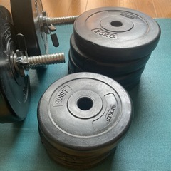 　 ダンベルセット　ディスク20枚付きの画像