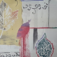 立川ブラインドのロールスクリーン中古品①の画像