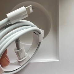 iPad iPhone純正ケーブル電源アダプター タイプcーランニングケーブルの画像