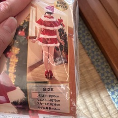 サンタコスプレの画像