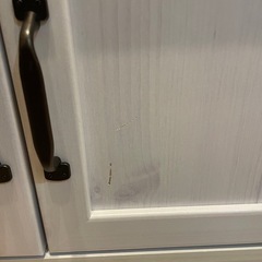 食器棚　LUFFYの画像