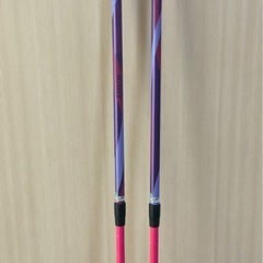 ノルディックポールの画像