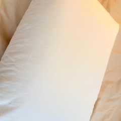 ホテルライクインテリア　フェザーピローの画像