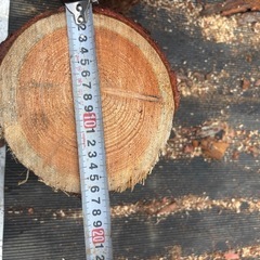 玉切り    薪
の画像