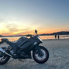 おまけ付きkawasaki NINJA250 EX250Lの画像