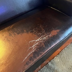 ローソファの画像