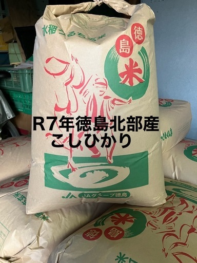R7年徳島県産こしひかり　玄米30kg