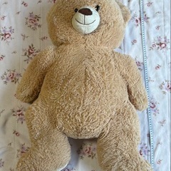 くまのぬいぐるみの画像