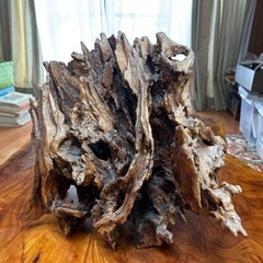 【受け渡し者決定しました】木のオブジェの画像