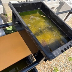 メダカ棚 スチールラック約180cm レンガ、桶は付きません。の画像