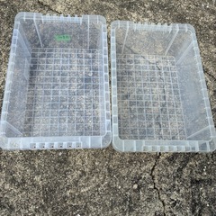 メダカ　
Nボックス13ℓ✖️2の画像