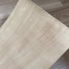 シシネル バランスボード木製 子供 大人 体幹 トレーニング アスレチック 軽量 大人 室内遊び 　の画像