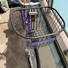 Regalo（レガロ）トイザらス22インチの画像