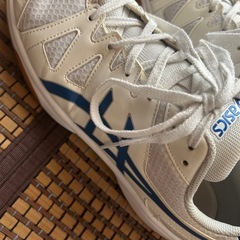 asics     館内履き/体育館履き 28cmの画像