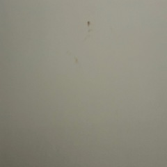 スチールラック　オフホワイト70 45 119 3段　の画像