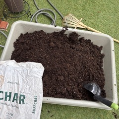 土　もらってください！！の画像