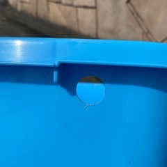 めだか飼育ケース　（タライ・バケツ）の画像