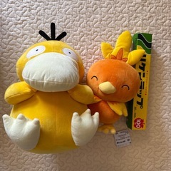 コダック、アチャモセットぬいぐるみの画像