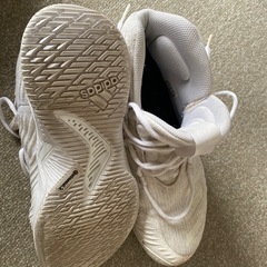 adidasバスケットシューズの画像