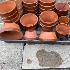 植木鉢　無料で差し上げますの画像
