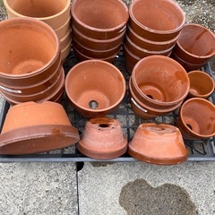 植木鉢　無料で差し上げますの画像