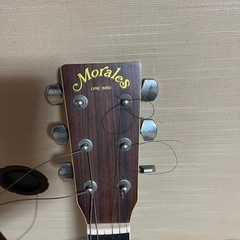 【Morales LYRE BIRD】アコースティックギター 103cm
の画像