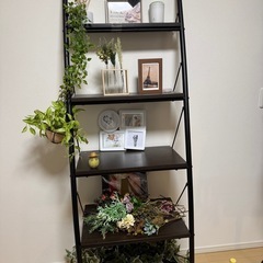 商品棚　インテリア棚の画像