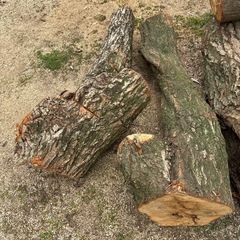 カシ、クヌギの木　薪ストーブの画像