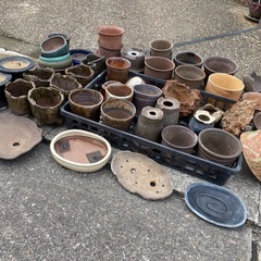 植木鉢　たくさんの画像