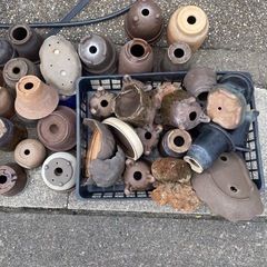 植木鉢　たくさんの画像