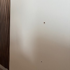 【Flexispo】デスク天板100*60cm 昇降デスク用の画像