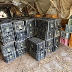 コンテナ　農業用 の画像