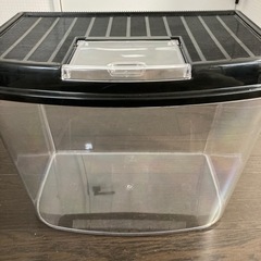 大きな容器　虫かご　ハムスター　プラスティック容器の画像