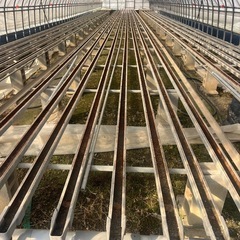 中古ビニールハウスの画像