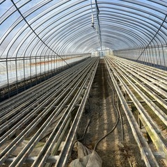 中古ビニールハウスの画像